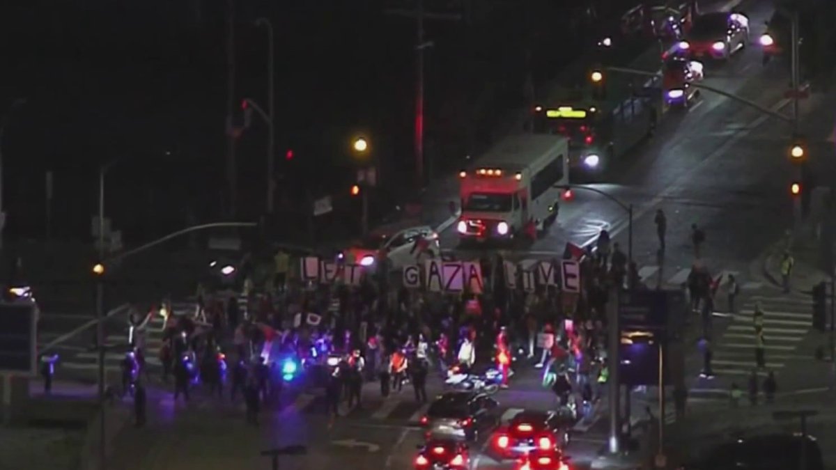 Ceasefire Protest Blocks Traffic Near Lax – Nbc Los Angeles