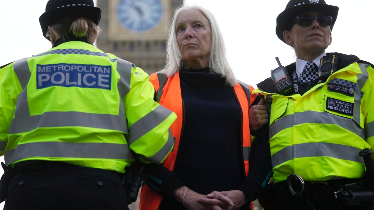 British law allows for the arrest of protesters in certain situations – NBC Los Angeles - Vimarsana News