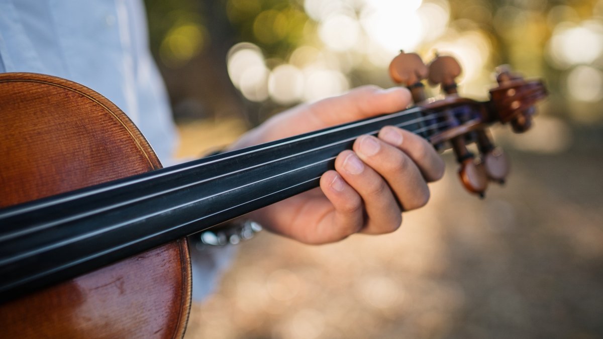 Kids can visit an 'Instrument Petting Zoo' at this free Bowers Museum Family Festival – NBC Los Angeles - Vimarsana News