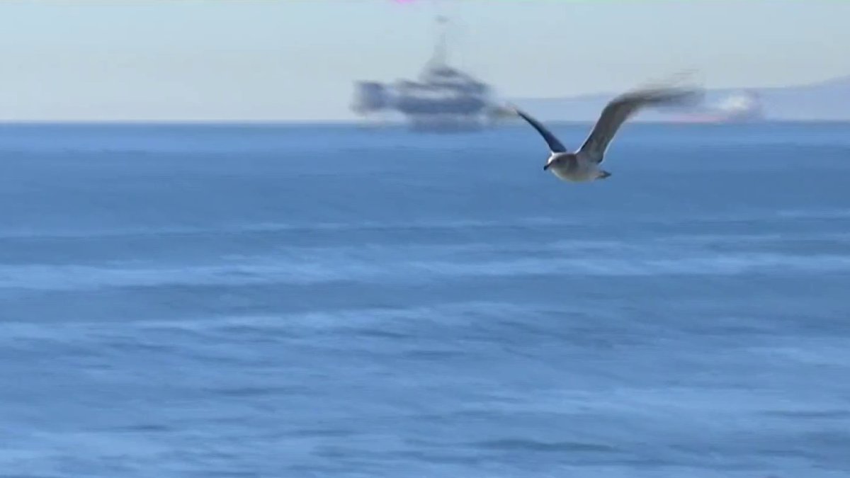 NTSB determines official cause of Huntington Beach oil spill – NBC Los ...