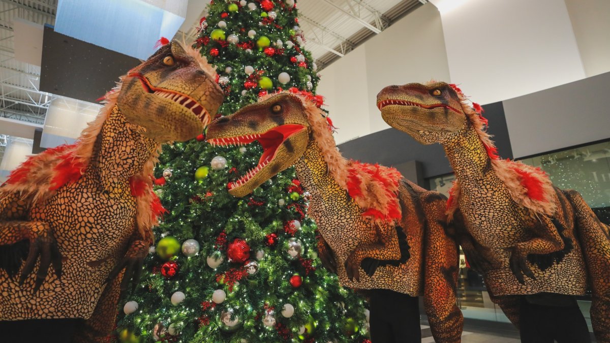Prehistoric beasties to dino-up our Decembers with Jurassic joy - Vimarsana News
