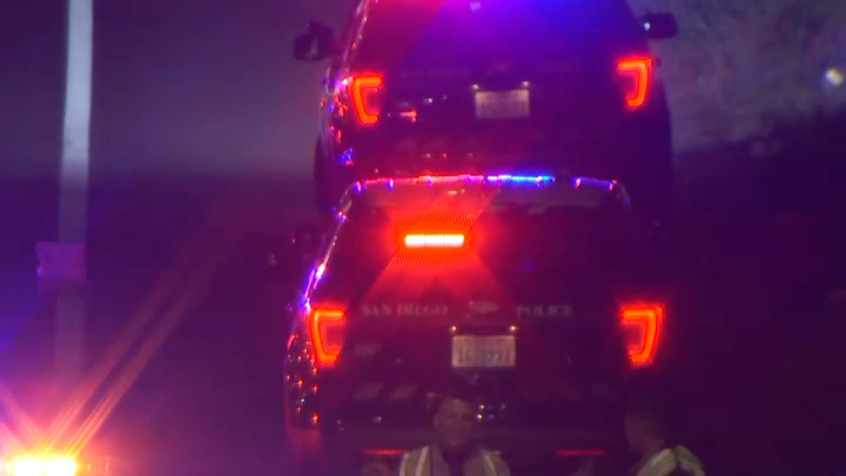 Two kids, 8 and 4, killed in hit-and-run crash caused by pursuit suspect in Mountain View: San Diego PD – NBC Los Angeles - Vimarsana News