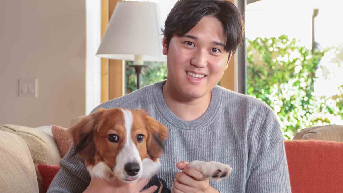 Shohei ohtani reveals dog s name at dodgers introduction nbc los angeles