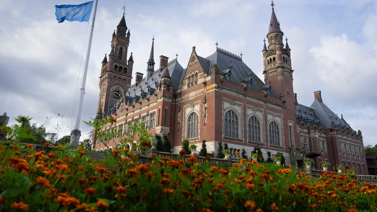 UN court set to issue ruling in South Africa genocide case against Israel – NBC Los Angeles - Vimarsana News