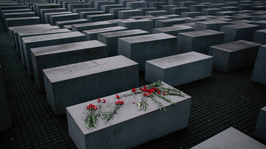 Holocaust survivors offered DNA tests to help find family