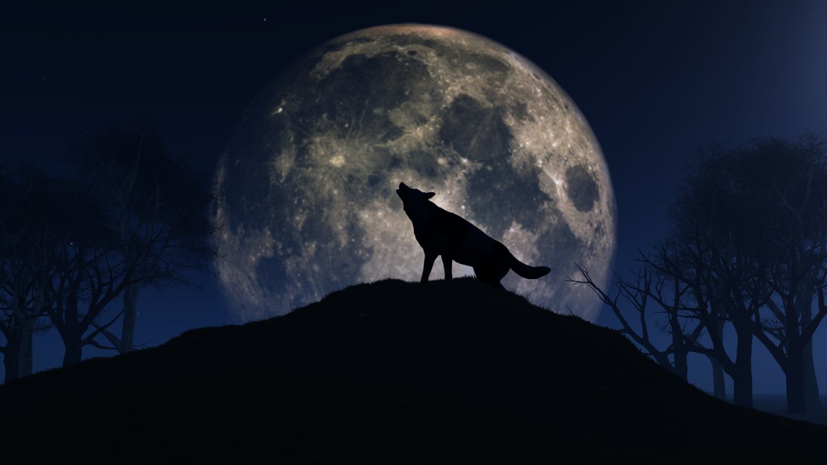 How to see the Full Wolf Moon on Thursday – NBC Los Angeles - Vimarsana News