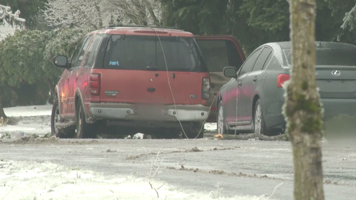 3 dead after power line falls on SUV during Portland ice storm – NBC Los Angeles - Vimarsana News
