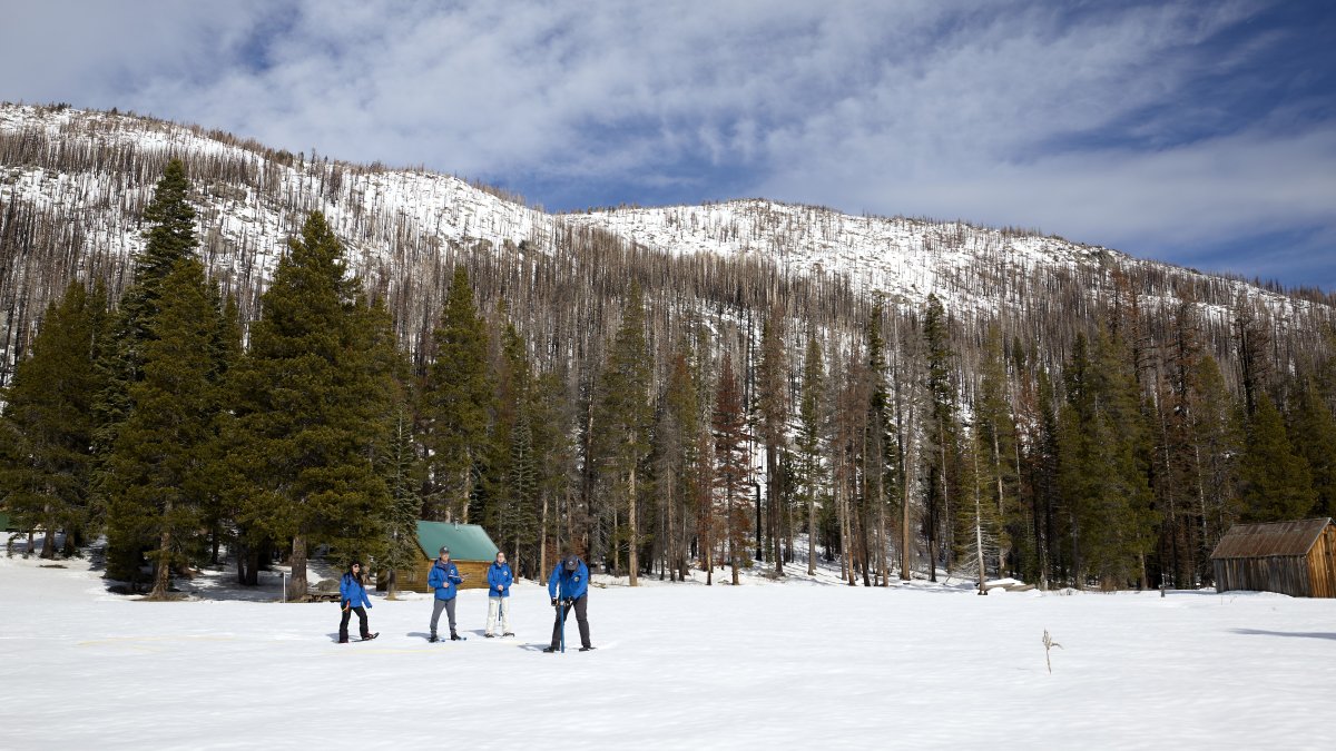 What February rainfall means for California water supply NBC Los Angeles