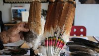 Man to plead guilty in ‘killing spree' of eagles and other birds for feathers prized by tribes