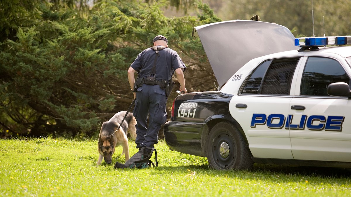 Kansas to increase penalties for harming police dogs – NBC Los Angeles - Vimarsana News