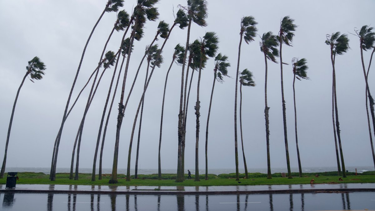 Governor Newsom declares Southern California state of emergency NBC