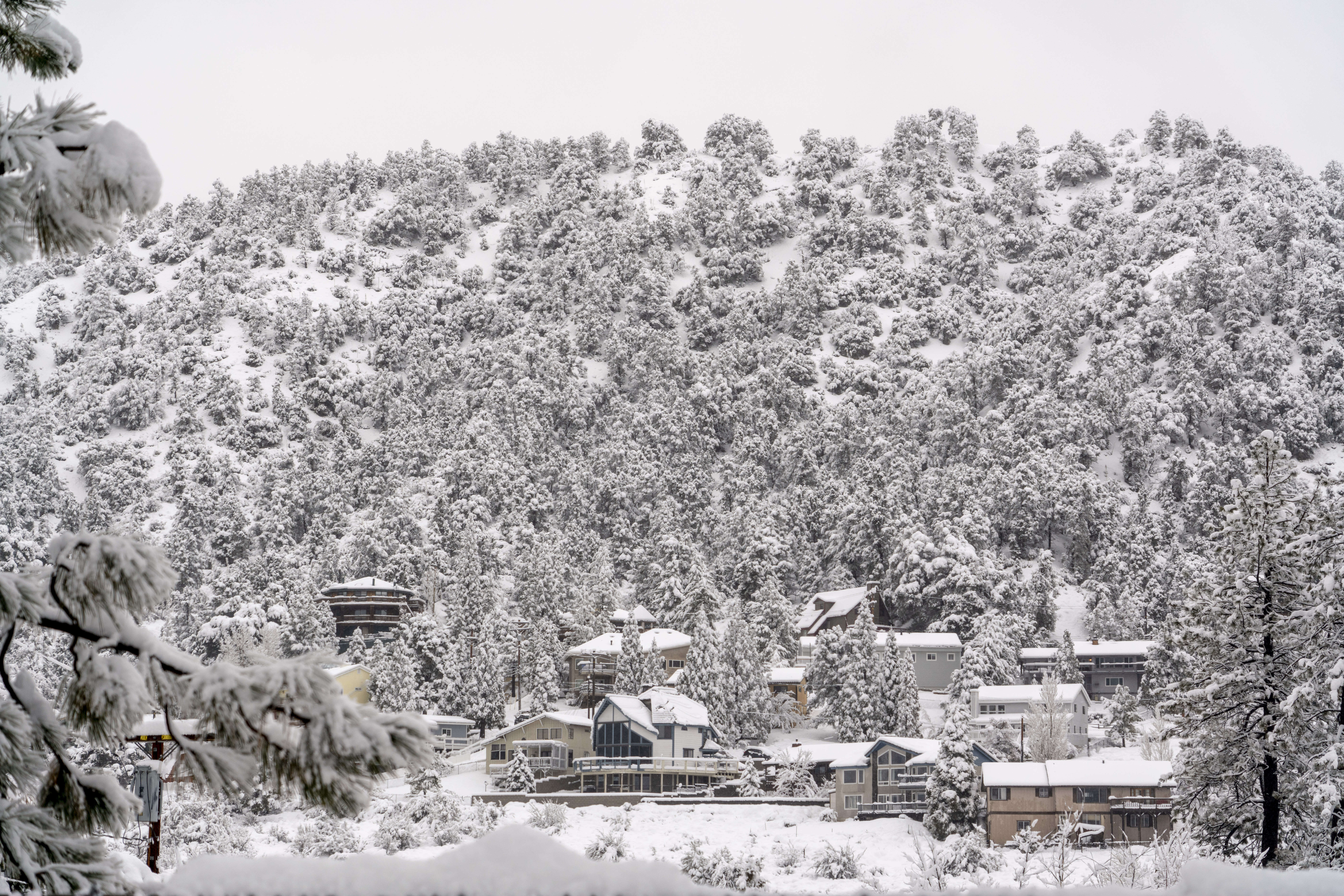 Snow accumulates in the San Gabriel Mountains during a storm in Wrightwood, California, US, on Tuesday, Feb. 6, 2024. The wind-whipped storm that dropped an historic amount of rain on California this week killed two people and has caused as much as $11 billion in damage and economic losses. Photographer: Kyle Grillot/Bloomberg via Getty Images