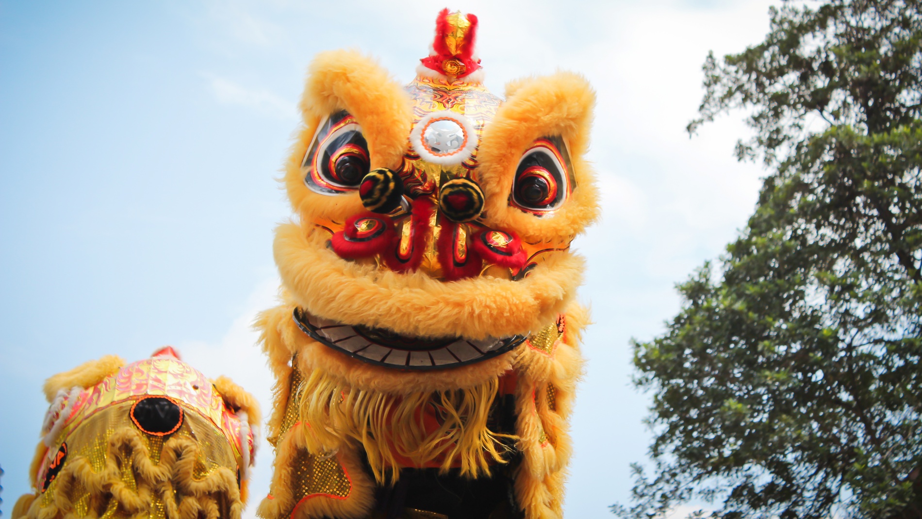 Local events to celebrate Lunar New Year 2024 – NBC Los Angeles