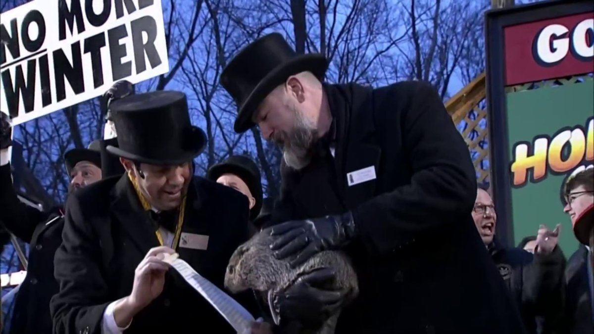 Groundhog Day 2024 forecast: Will Punxsutawney Phil see his shadow? – NBC Los Angeles - Vimarsana News