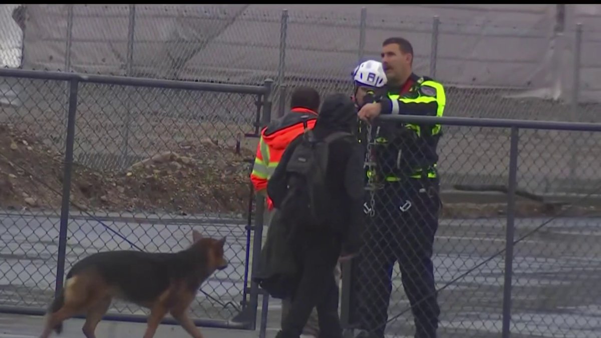 Man trying to rescue dog from Pacoima wash hoisted to safety by LAFD