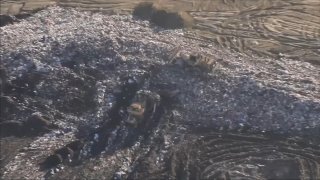 The Chiquita Canyon landfill, as seen on Thursday, Feb. 22, 2024.