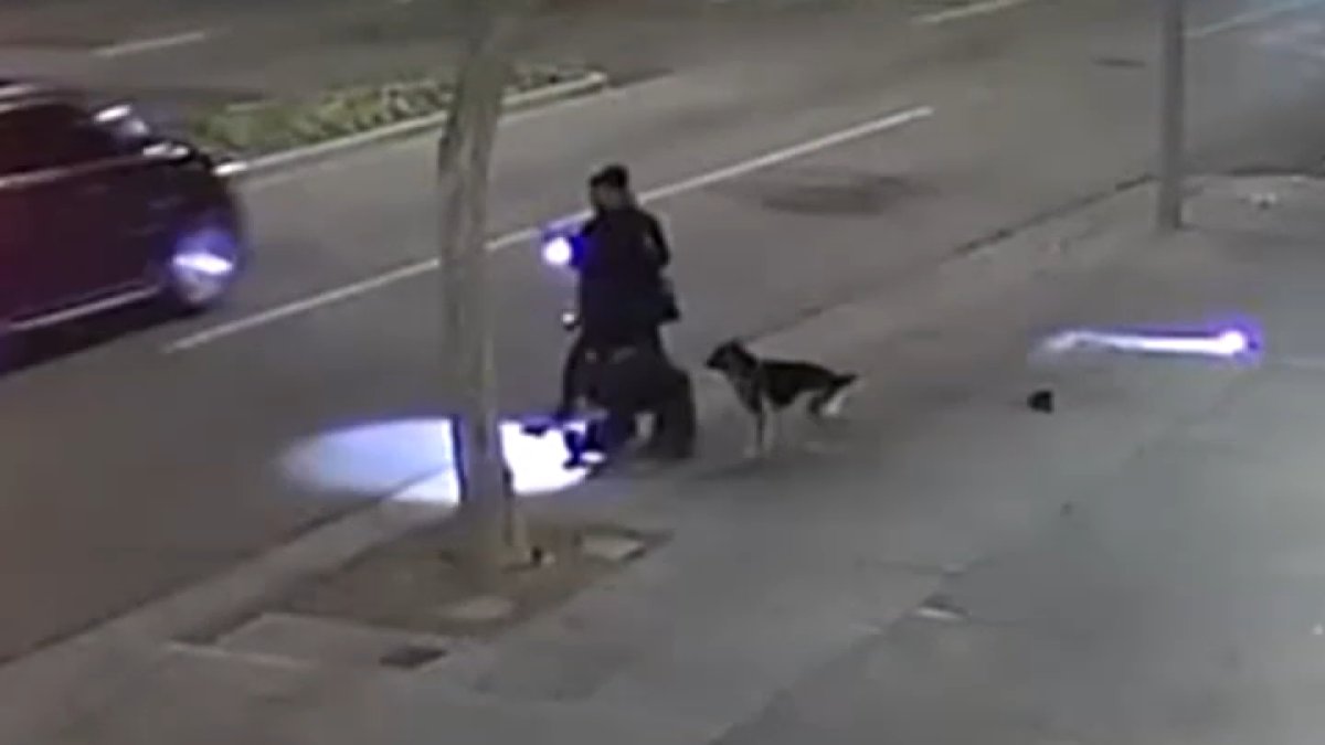 LASD seeks public's help finding West Hollywood assault suspect