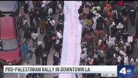 Thousands of protesters block downtown LA streets in support of Palestine