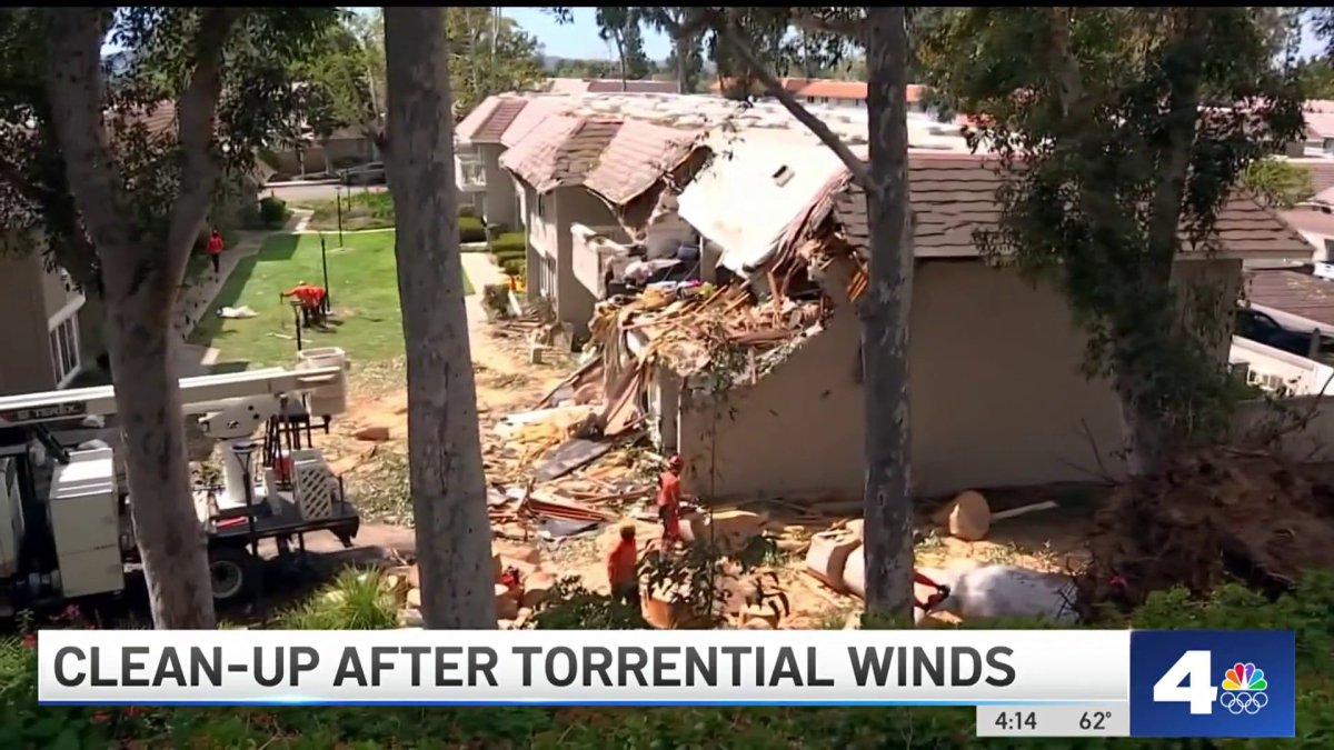 Clean-up continues after wind topples trees onto Lake Forest homes ...