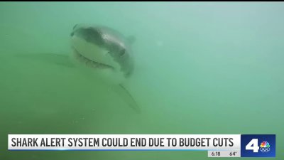Shark alert system could end due to budget cuts