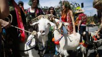 Goats to goldfish: Join the cute queue for Olvera Street's Blessing of the Animals