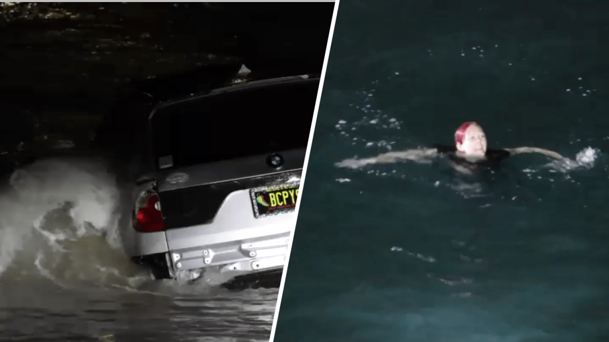 Woman attempts to evade officers during chase by driving into water in Marina del Rey