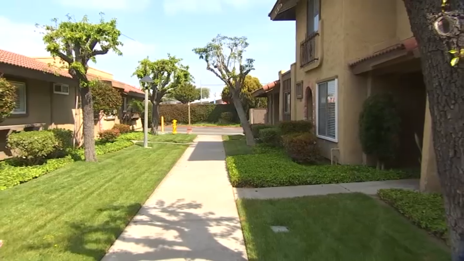 Homeless man with hammer breaks into Westminster home - Vimarsana News