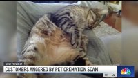 Customers brand pet cremation company as scam