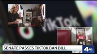 Senate passes TikTok ban bill