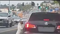 Woman rescues dog after it was abandoned by driver in Long Beach