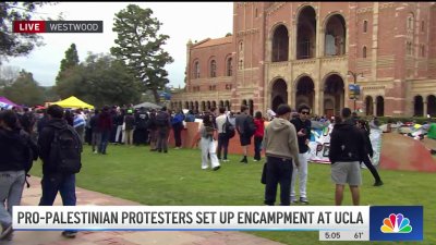 Pro-Palestinian protesters set up encampment at UCLA