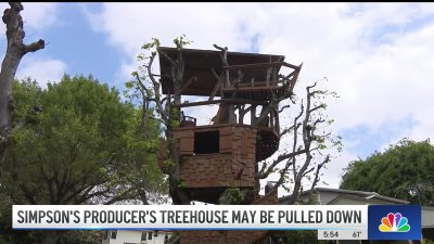 Boney Island treehouse in Sherman Oaks facing teardown