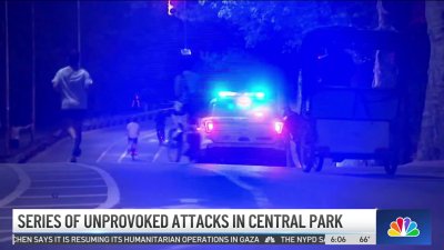 NYPD investigating after series of unprovoked attacks in Central Park