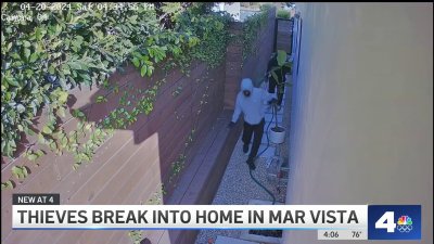 Thieves break into home in Mar Vista, steal thousands in items