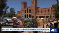 Walkout supporting pro-Palestinian protesters at UCLA