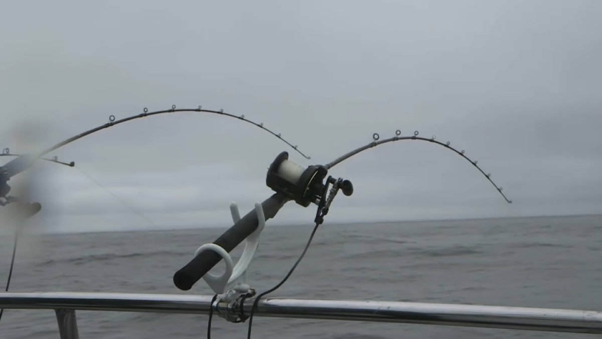 Salmon fishing is banned off the California coast – NBC Los Angeles - Vimarsana News