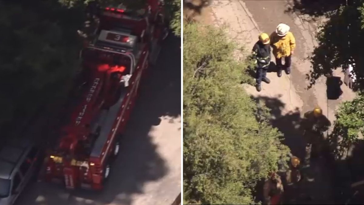 Worker dies in Bel Air after being trapped under forklift – NBC Los Angeles