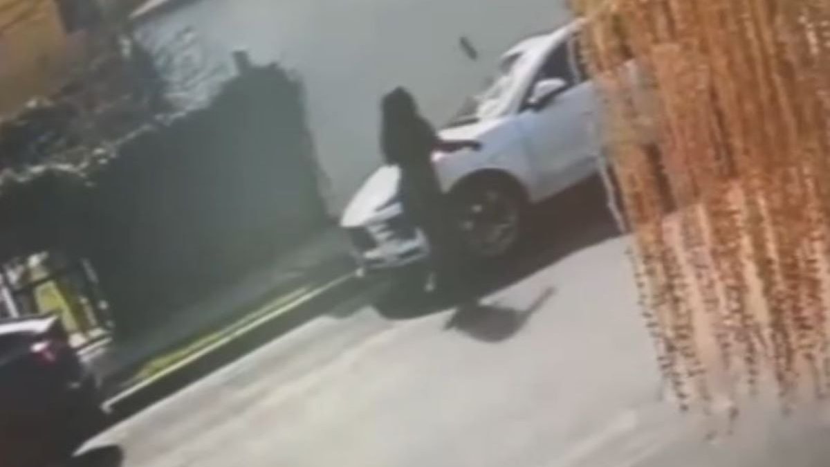 Video shows woman hurl bricks at cars in Venice – NBC Los Angeles - Vimarsana News