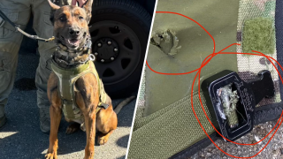 LA Sheriff's K9 Kjeld is pictured alongside his protective vest, which partially deflected a bullet April 17, 2024.