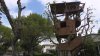 Massive treehouse in Sherman Oaks may face demise