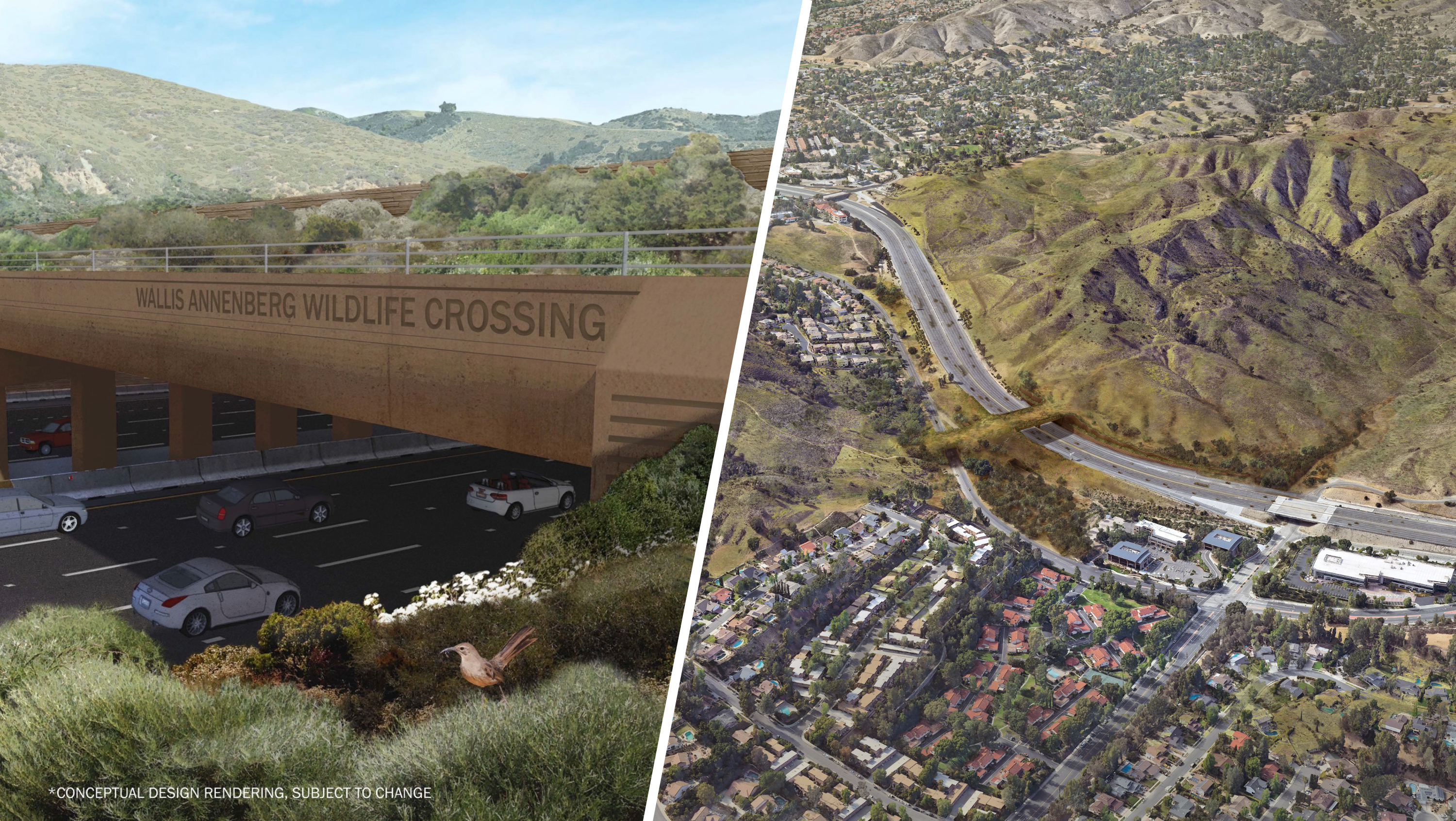 See renderings of the wildlife crossing over the 101 Freeway in Agoura Hills