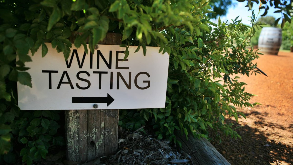 No walk-ins allowed: What to know when touring the world's best wine regions - Vimarsana News