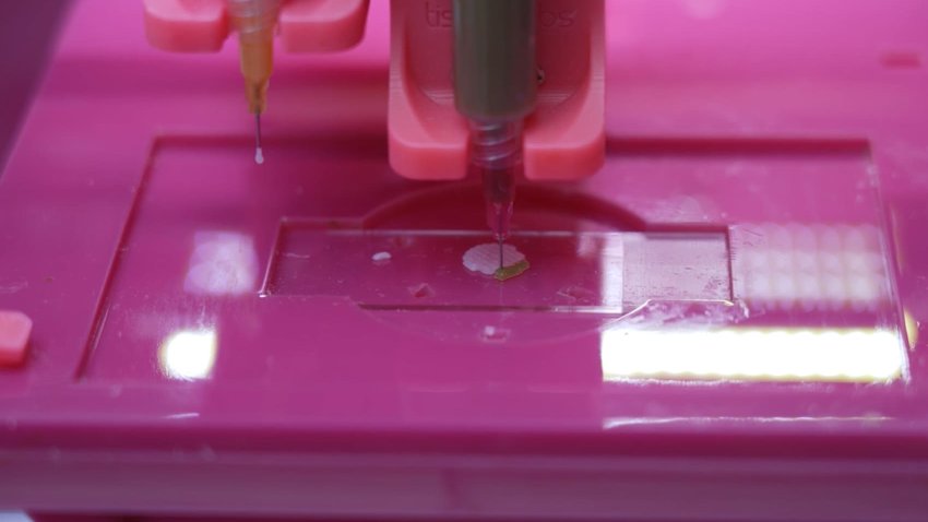 L’Oreal says it’s working on a form of bioprinted skin that can actually ‘feel’