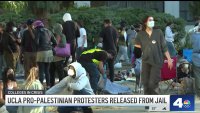 UCLA pro-Palestinian protesters released from jail