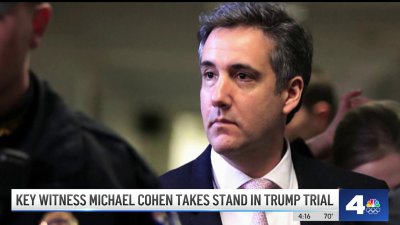 Michael Cohen lays out how he allegedly paid off Stormy Daniels
