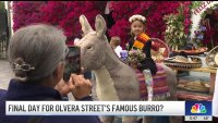 Time is running out for LA's famous Olvera Street burro