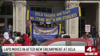 Why pro-Palestinian protesters went back to UCLA campus