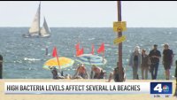 High bacteria levels at several LA County beaches