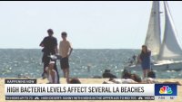 High bacteria levels affect several LA beaches