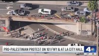 Pro-Palestinian protest on 101 Freeway and at LA City Hall